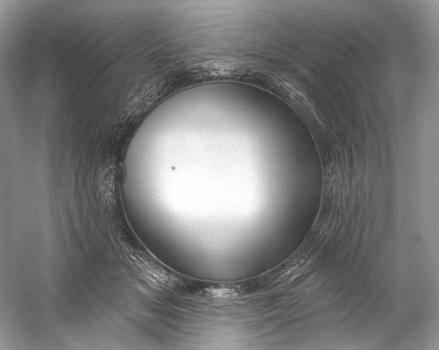 X0000060760509200512011517