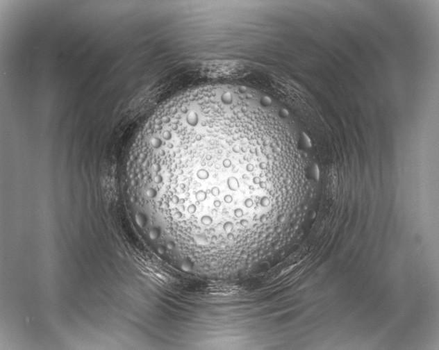 X0000060760510200512011517
