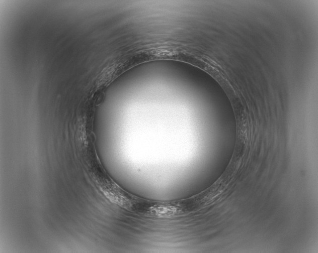 X0000060760512200512011517