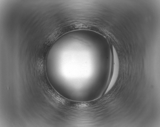 X0000060760513200512011517