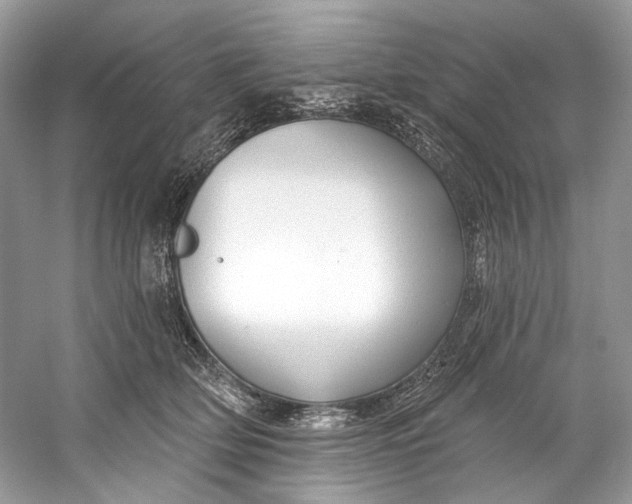 X0000060760514200512011517
