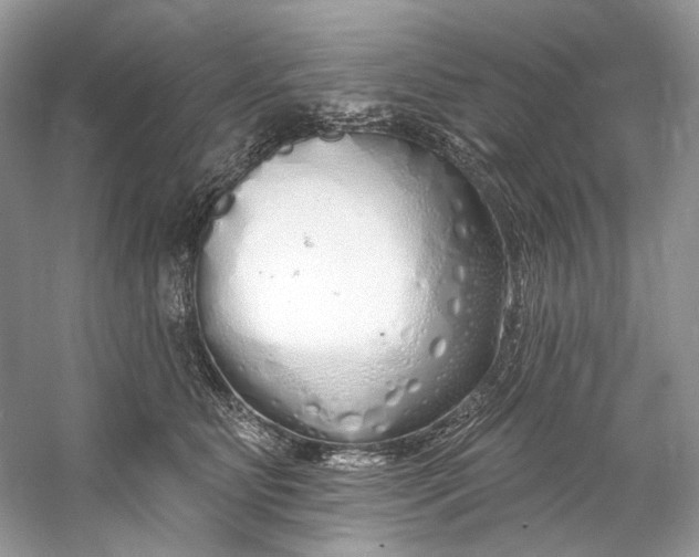 X0000060760515200512011517