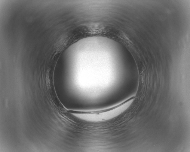 X0000060760516200512011517