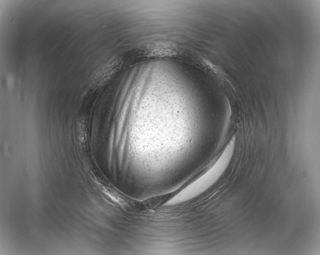X0000060760517200512011517