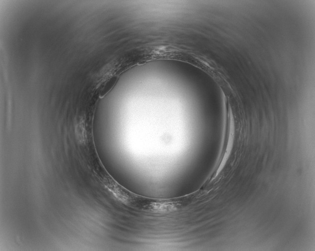 X0000060760520200512011517
