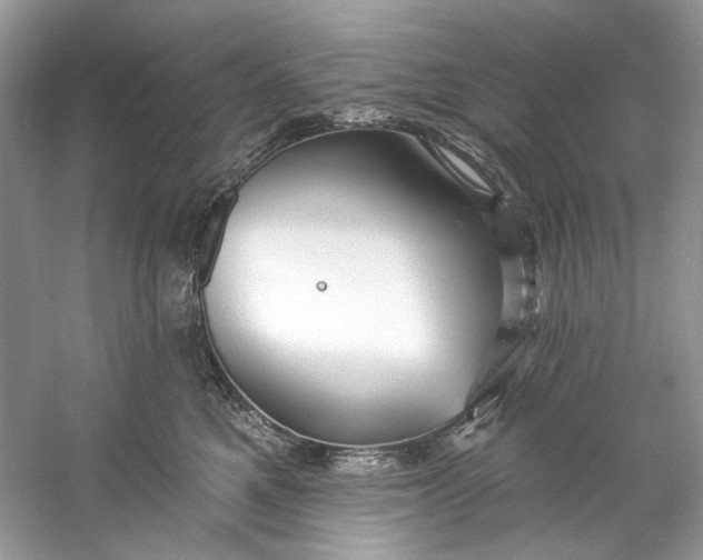 X0000060760521200512011517