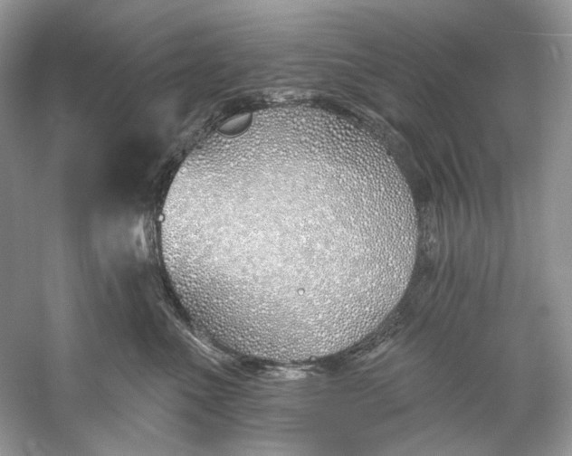 X0000060760523200512011517