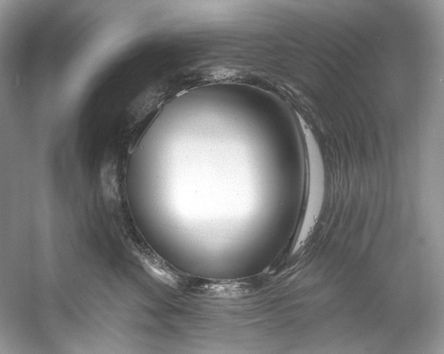 X0000060760524200512011517