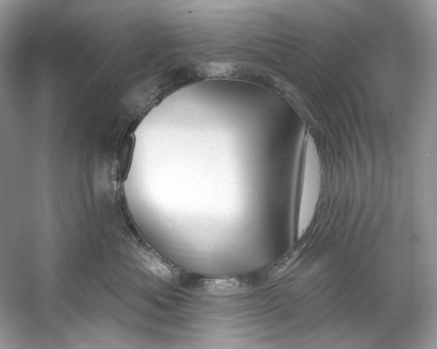X0000060760525200512011517