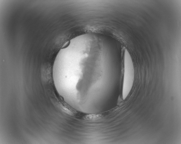 X0000060760526200512011517