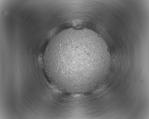 X0000060760527200512011517