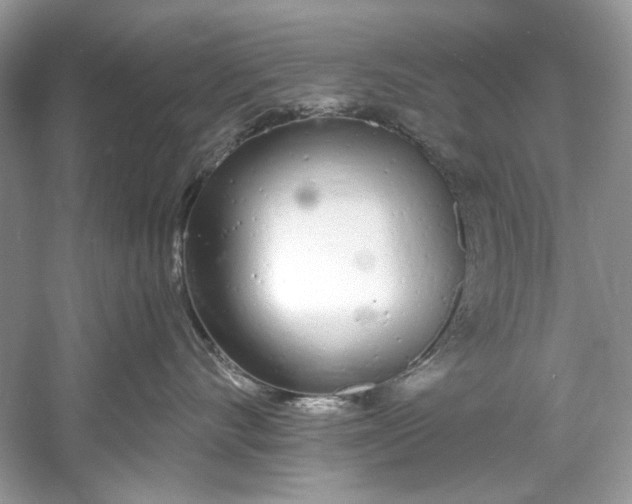 X0000060760528200512011517