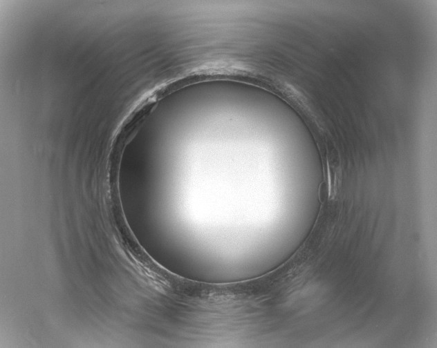 X0000060760531200512011516