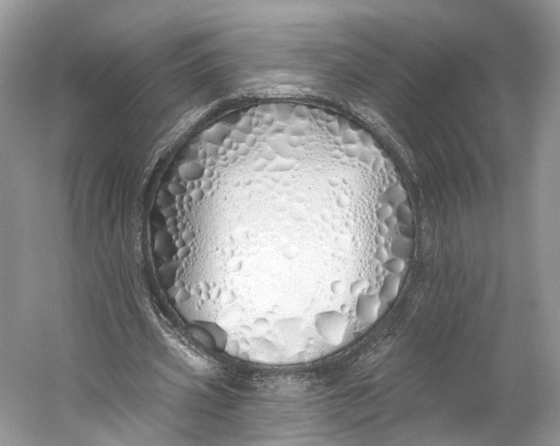 X0000060760533200512011516