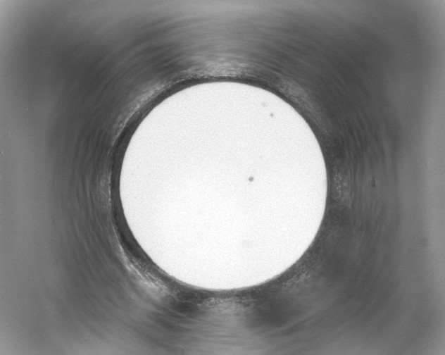 X0000060760534200512011516