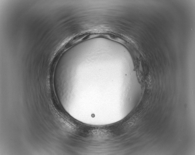 X0000060760535200512011516