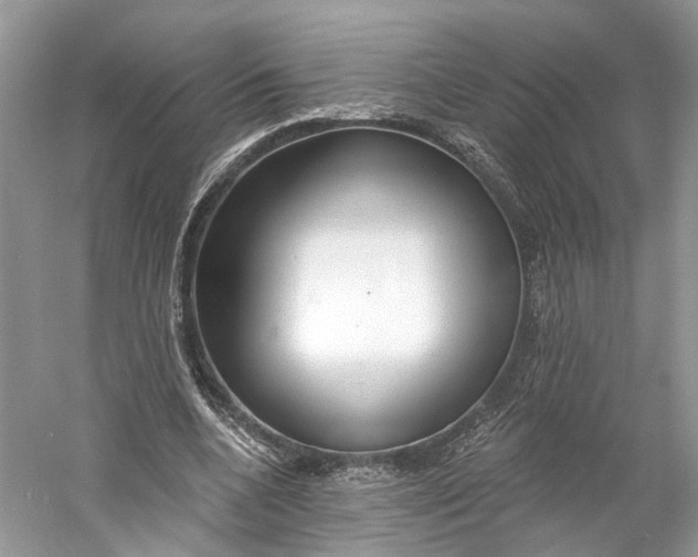 X0000060760536200512011516