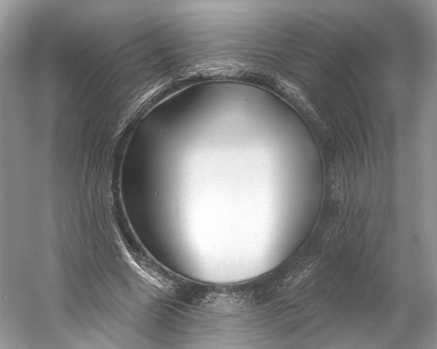 X0000060760538200512011516