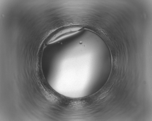 X0000060760540200512011516