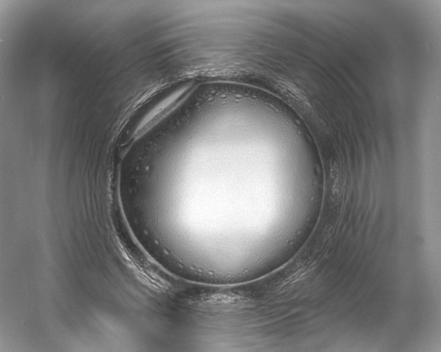X0000060760542200512011516
