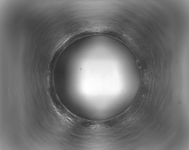 X0000060760544200512011516