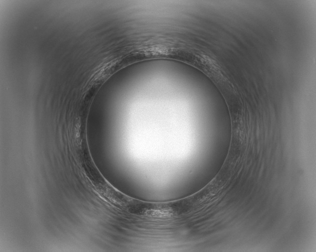 X0000060760548200512011516