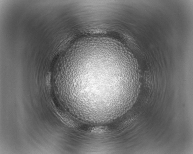 X0000060760550200512011516