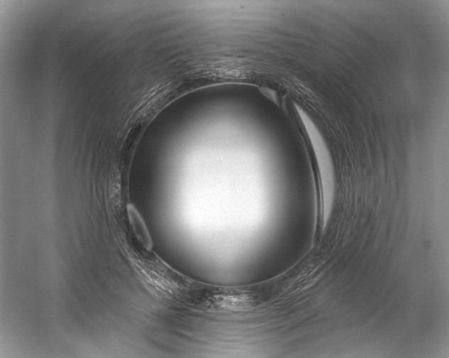 X0000060760552200512011516