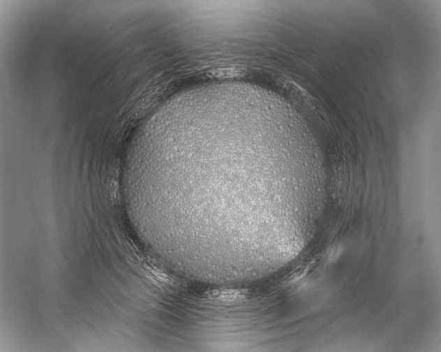 X0000060760553200512011516