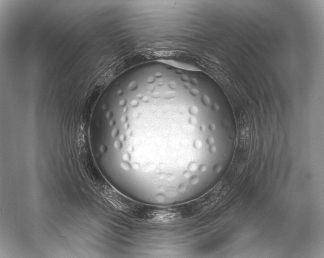 X0000060760555200512011517