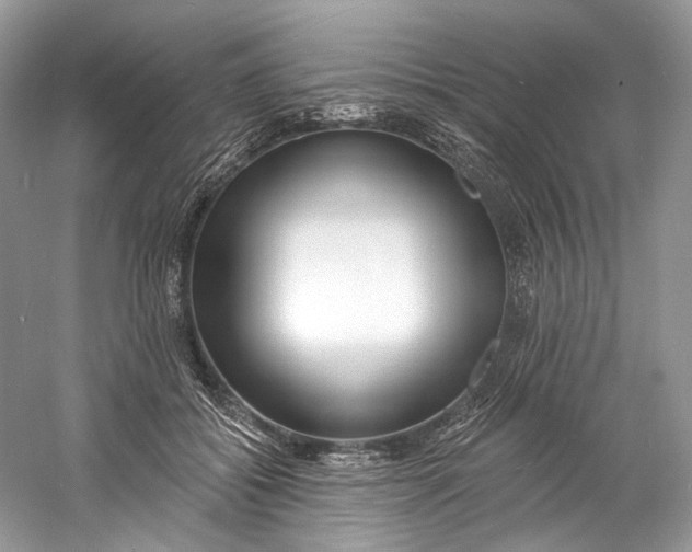 X0000060760556200512011517