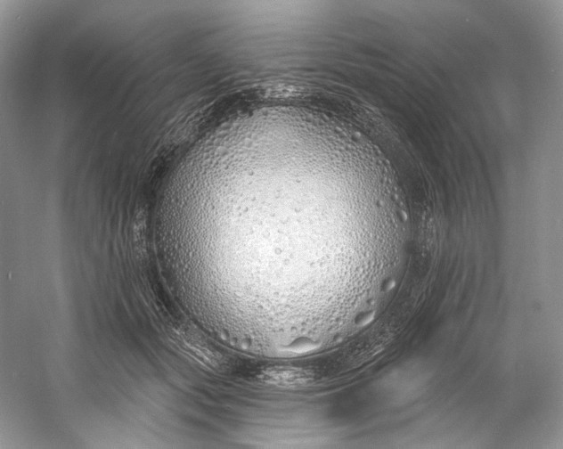 X0000060760557200512011517
