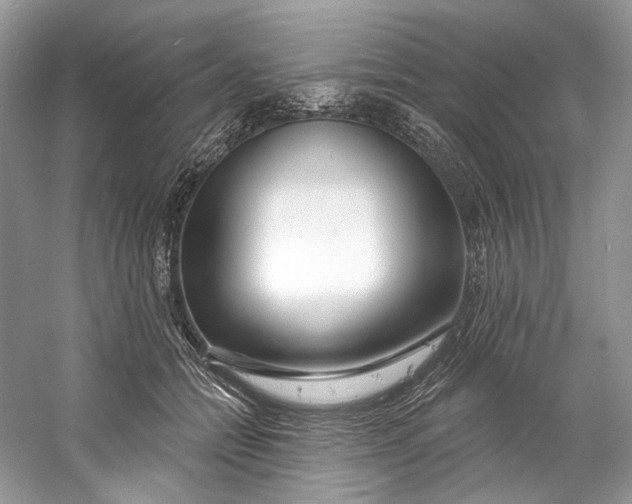 X0000060760558200512011517