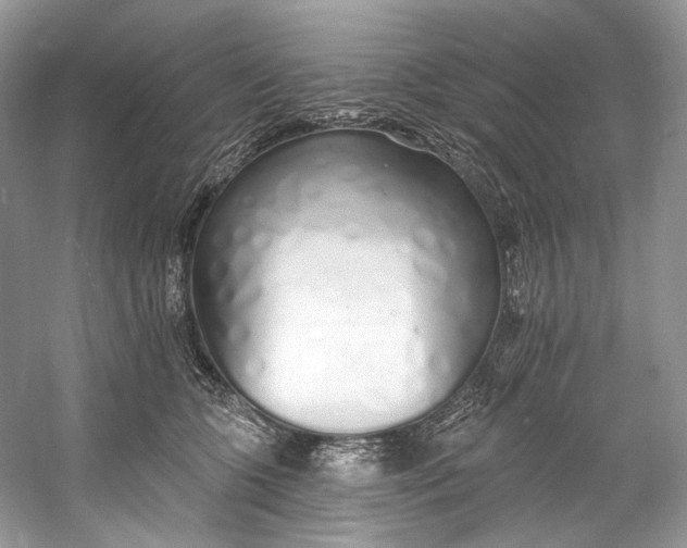 X0000060760563200512011517