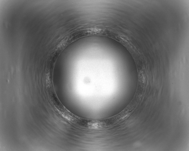 X0000060760564200512011517