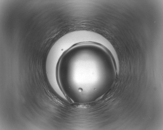 X0000060760566200512011517