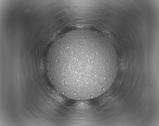 X0000060760569200512011517