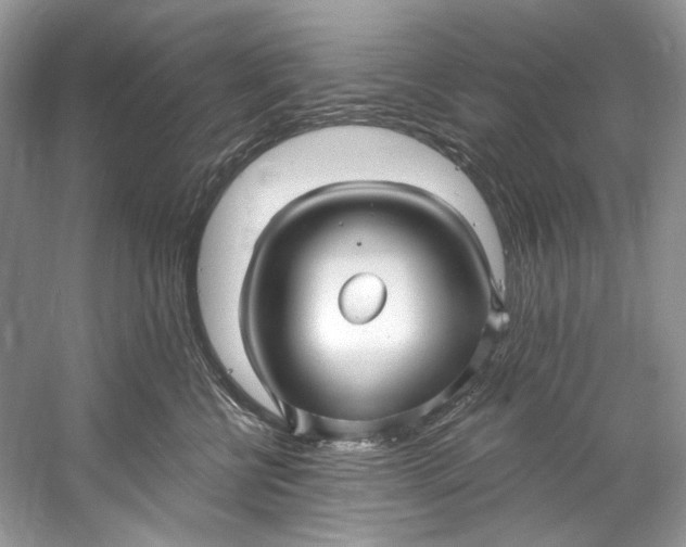 X0000060760570200512011517