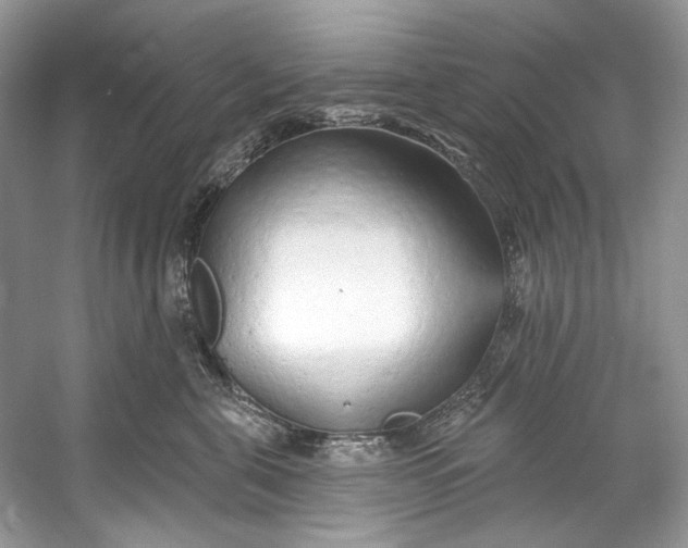 X0000060760571200512011517