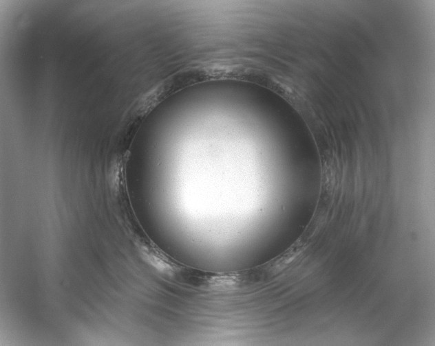 X0000060760574200512011517