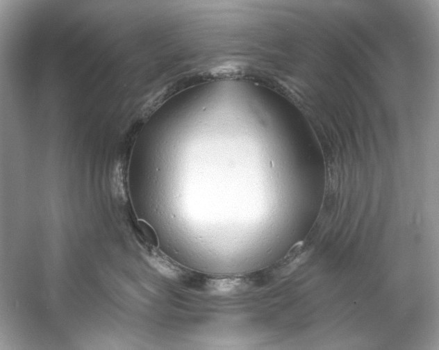 X0000060760575200512011517