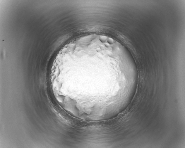 X0000060760578200512011516