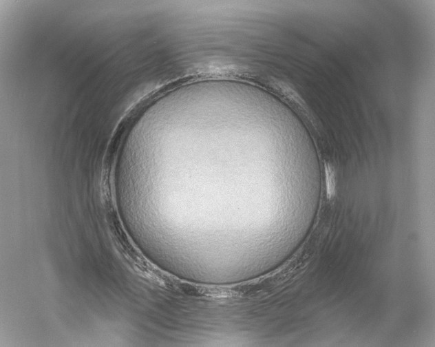 X0000060760579200512011516