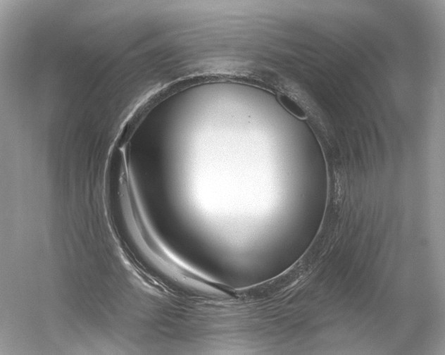 X0000060760580200512011516