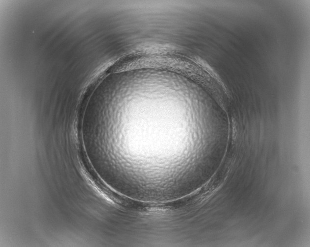 X0000060760581200512011516