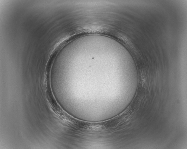 X0000060760583200512011516