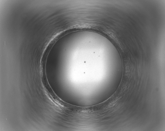 X0000060760584200512011516