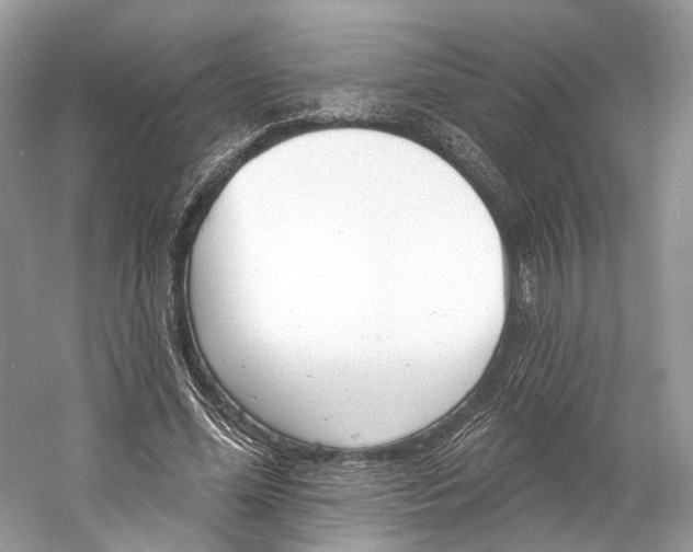 X0000060760588200512011516