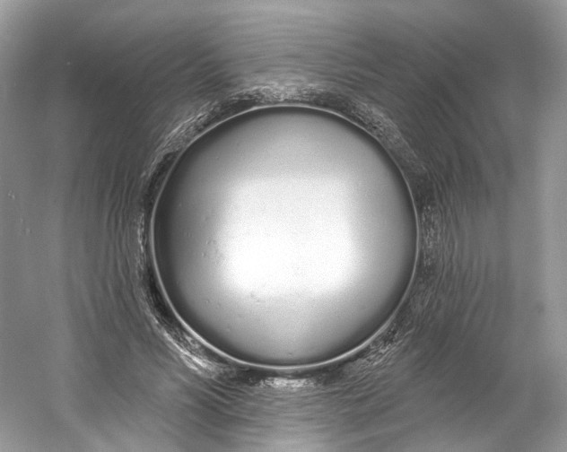 X0000060760590200512011516