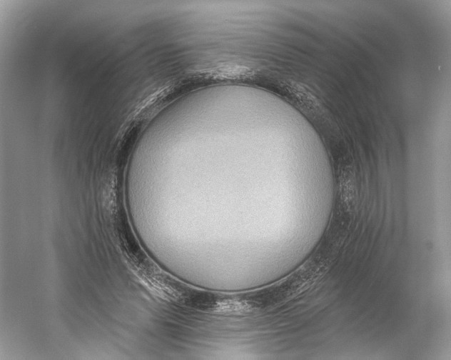 X0000060760591200512011516